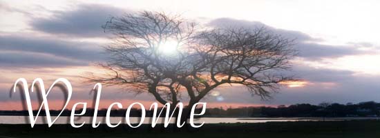Welcome to BCG Web Page