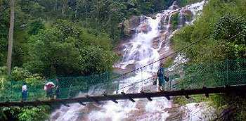 latakinjg.jpg